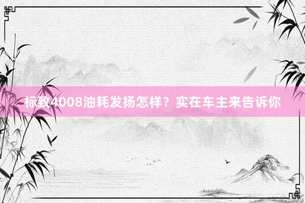 标致4008油耗发扬怎样？实在车主来告诉你