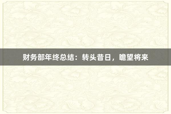 财务部年终总结：转头昔日，瞻望将来
