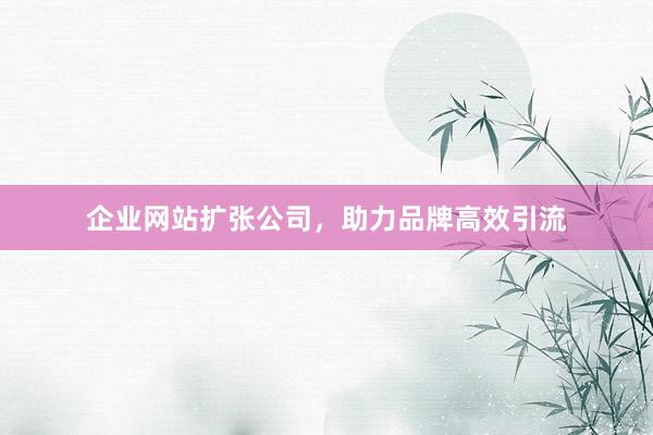 企业网站扩张公司，助力品牌高效引流